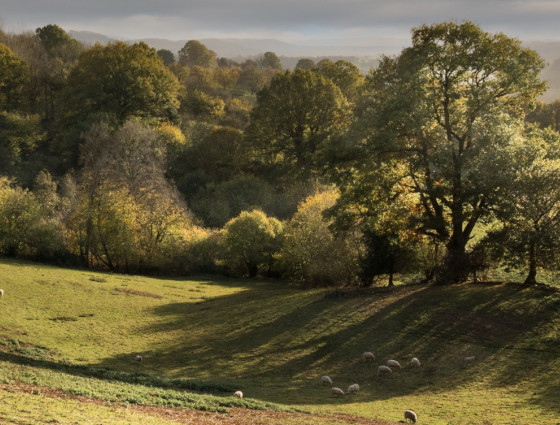 Teme Valley