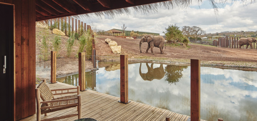 West Midlands Safari Park based in Worcestershire UK